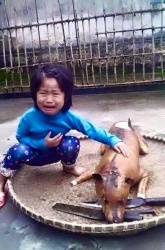Việt Nam chung tay ký tên bảo vệ loài chó, chấm dứt nạn ăn cắp, buôn lậu chó mèo