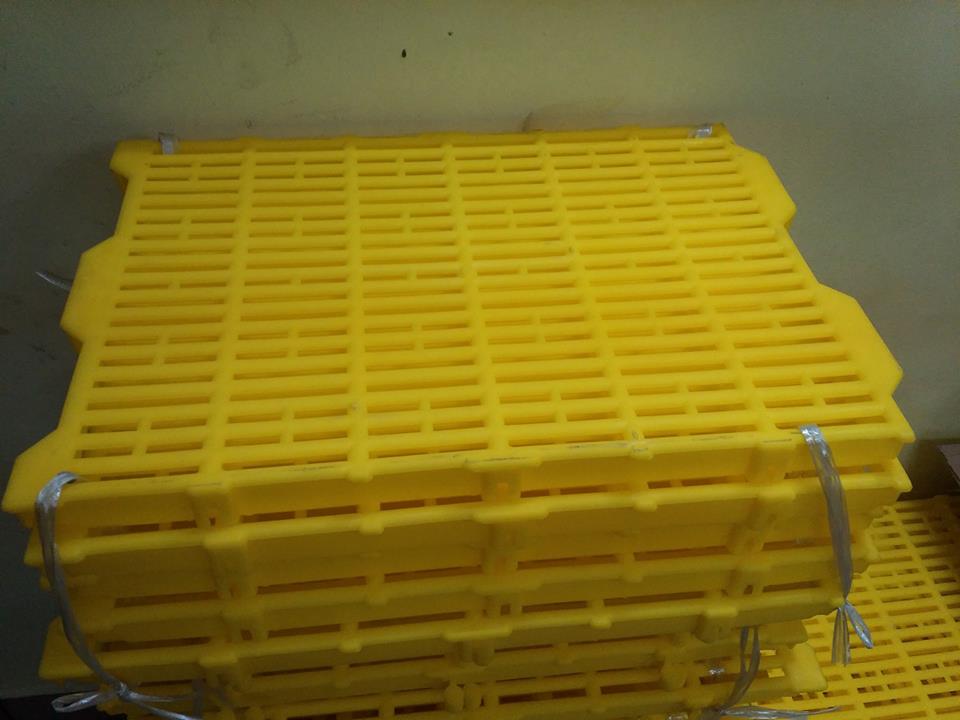 15966266 306033776460665 7605329572431009007 n