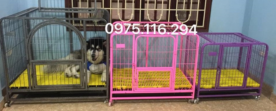17022169 629178577266093 9016540193840150208 n