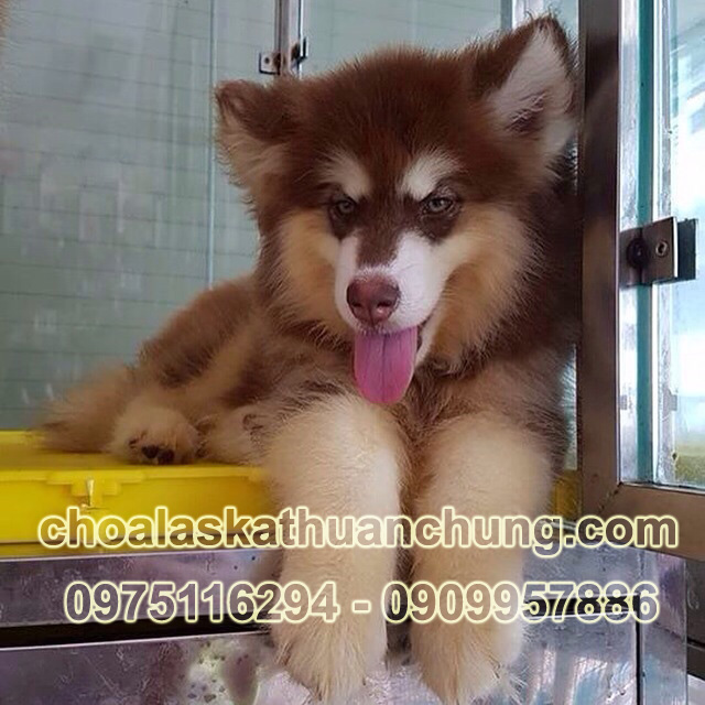 84f61c1d368682493141db62e5bfd0a1b4062d617168b1acb4pimgpsh fullsize distr