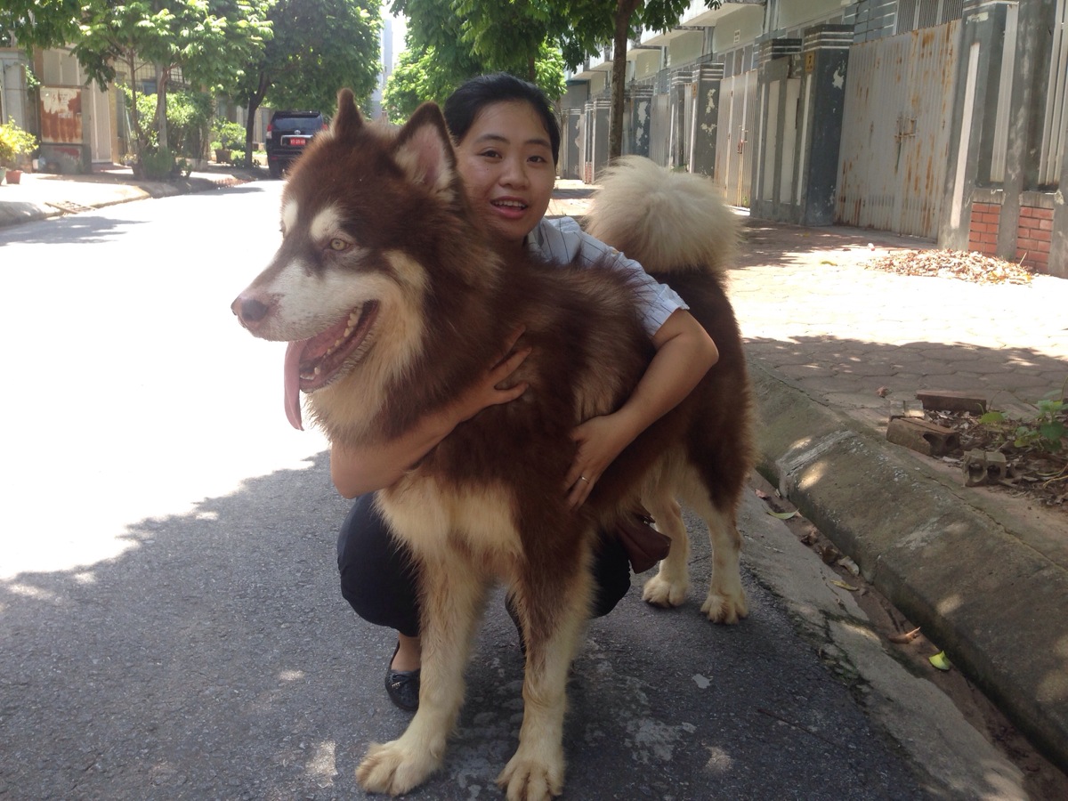 a70cc4790278dc07ba5db493c0e8f0d08e1414180421b20b29pimgpsh fullsize distr