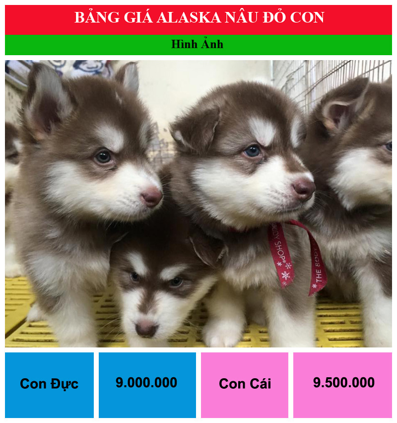 bang gia cho alaska nau do con142