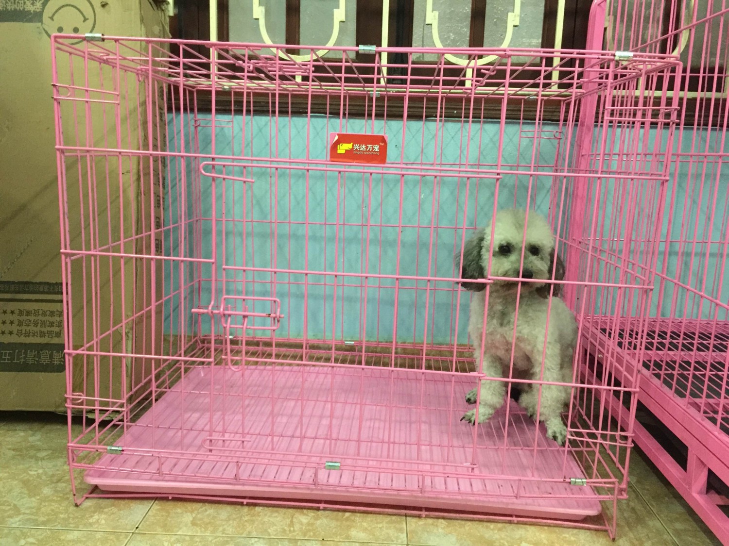 Chuồng Chó Sơn Tĩnh Điện Cho Chó Nhỏ Dưới 20kg